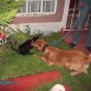 ZEUS Y CAMILA 